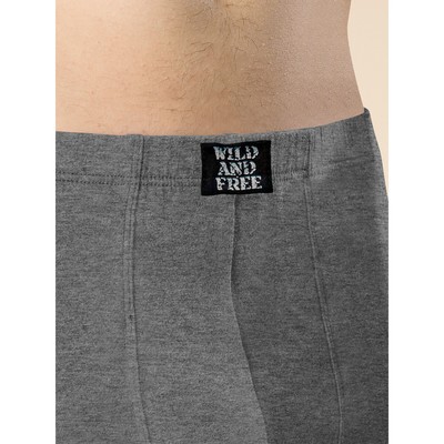 Трусы мужские, размер 46, цвет серый