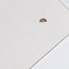 Картина пластилином «Крабик», 10 × 15 см - фото 23775000