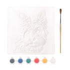 Многоразовая раскраска «Собачка», 20 × 20 см - фото 7493817