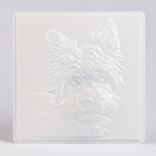 Многоразовая раскраска «Собачка», 20 × 20 см - фото 9328640
