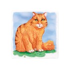 Многоразовая раскраска «Рыжий котик»,20 × 20 см - фото 7493829