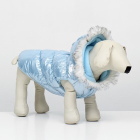 Куртка для собак 'Легкость', размер XS (ДС 19, ОГ 28, ОШ 19 см, до 3 кг), голубая