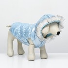 Куртка для собак "Легкость", размер M (ДС 30, ОГ 40, ОШ 30 см, до 8 кг), голубая - Фото 4