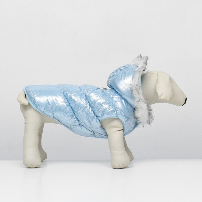 Куртка для собак "Легкость",  размер L (ДС 34, ОГ 47, ОШ 34 см, до 11 кг), голубая