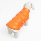 Куртка для собак "Блеск", XS (ДС 20, ОГ 28, ОШ 19 см, до 3 кг), оранжевая - Фото 4
