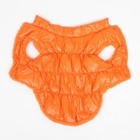 Куртка для собак "Блеск", XS (ДС 20, ОГ 28, ОШ 19 см, до 3 кг), оранжевая - Фото 8