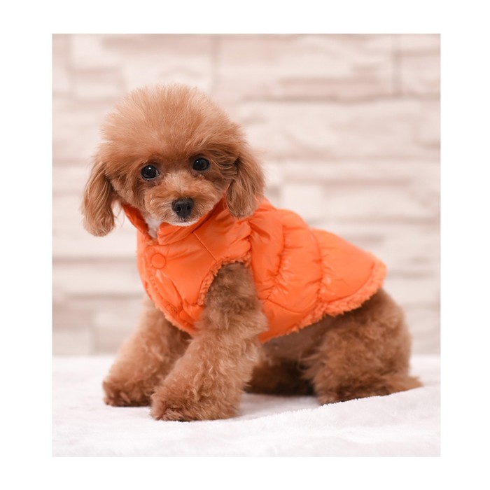 Куртка для собак "Блеск", XS (ДС 20, ОГ 28, ОШ 19 см, до 3 кг), оранжевая - Фото 1
