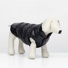 Куртка для собак "Блеск", XS (ДС 20, ОГ 28, ОШ 19 см, до 3 кг), чёрная - Фото 2