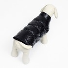 Куртка для собак "Блеск", XS (ДС 20, ОГ 28, ОШ 19 см, до 3 кг), чёрная - Фото 4