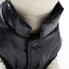 Куртка для собак "Блеск", XS (ДС 20, ОГ 28, ОШ 19 см, до 3 кг), чёрная - Фото 5