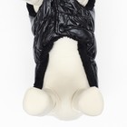 Куртка для собак "Блеск", XS (ДС 20, ОГ 28, ОШ 19 см, до 3 кг), чёрная - Фото 6