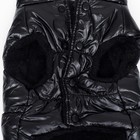 Куртка для собак "Блеск", XS (ДС 20, ОГ 28, ОШ 19 см, до 3 кг), чёрная - Фото 9