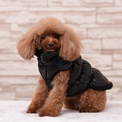Куртка для собак "Блеск", XS (ДС 20, ОГ 28, ОШ 19 см, до 3 кг), чёрная