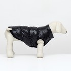 Куртка для собак "Блеск", S (ДС 25, ОГ 37, ОШ 24 см, до 5 кг), чёрная - фото 7493845