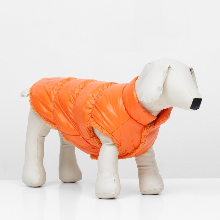 Куртка для собак "Блеск", XL (ДС 40, ОГ 57, ОШ 35 см, до 14 кг), оранжевая