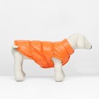 Куртка для собак "Блеск", 2XL (ДС 45, ОГ 64, ОШ 38 см), оранжевая - фото 9610210