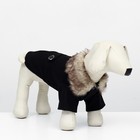 Пальто для собак, размер XS (ДС 20, ОГ 29-30, ОШ 20-21 см), чёрное - Фото 2