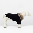 Пальто для собак, размер XS (ДС 20, ОГ 29-30, ОШ 20-21 см), чёрное - Фото 3
