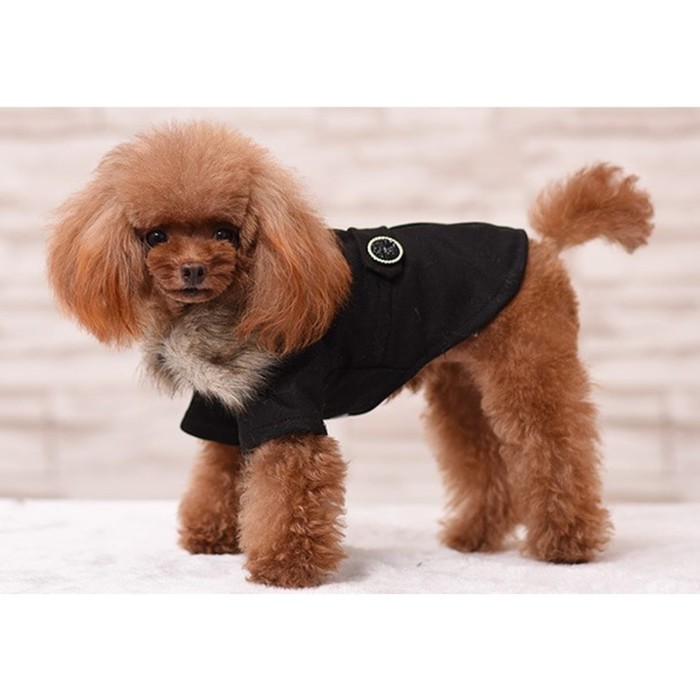 Пальто для собак, размер XS (ДС 20, ОГ 29-30, ОШ 20-21 см), чёрное - Фото 1
