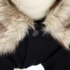 Пальто для собак, размер XS (ДС 20, ОГ 29-30, ОШ 20-21 см), чёрное - Фото 5