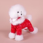 Комбинезон «Глянец», размер XS (ДС 19, ОГ 28, ОШ 19 см, до 3 кг), красный - Фото 14