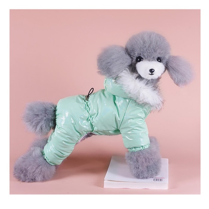 Комбинезон "Глянец", размер XS (ДС 19, ОГ 28, ОШ 19 см, до 3 кг), мятный - Фото 1