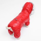 Комбинезон "Глянец", размер S (ДС 24, ОГ 34, ОШ 24 см, до 5 кг), красный - Фото 5