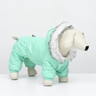 Комбинезон «Глянец», размер S, ДС 24, ОГ 34, ОШ 24 см, до 5 кг, мятный - Фото 2