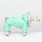 Комбинезон «Глянец», размер S, ДС 24, ОГ 34, ОШ 24 см, до 5 кг, мятный - Фото 3