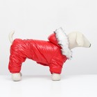 Комбинезон "Глянец", размер M (ДС 30, ОГ 40, ОШ 30 см, до 8 кг), красный - Фото 2