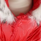 Комбинезон "Глянец", размер M (ДС 30, ОГ 40, ОШ 30 см, до 8 кг), красный - Фото 8