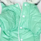 Комбинезон «Глянец», размер M, ДС 30, ОГ 40, ОШ 30 см, до 8 кг, мятный - Фото 13