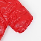 Комбинезон "Глянец", размер L (ДС 34, ОГ 47, ОШ 34 см, до 10 кг), красный - Фото 13