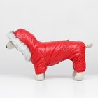 Комбинезон "Глянец", размер L (ДС 34, ОГ 47, ОШ 34 см, до 10 кг), красный - Фото 4