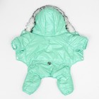 Комбинезон «Глянец», размер L, ДС 34, ОГ 47, ОШ 34 см, до 10 кг, мятный - Фото 12