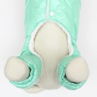 Комбинезон «Глянец», размер L, ДС 34, ОГ 47, ОШ 34 см, до 10 кг, мятный - Фото 10