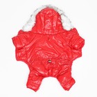 Комбинезон «Глянец», размер XL (ДС 39, ОГ 53, ОШ 39 см, до 14 кг), красный - Фото 11