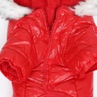 Комбинезон «Глянец», размер XL (ДС 39, ОГ 53, ОШ 39 см, до 14 кг), красный - Фото 12