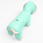 Комбинезон "Глянец", размер XL (ДС 39, ОГ 53, ОШ 39 см, до 14 кг), мятный - Фото 6