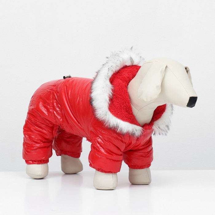 Комбинезон "Глянец", размер 2XL (ДС 44, ОГ 59, ОШ 44 см), красный - Фото 1