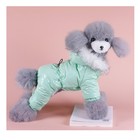 Комбинезон "Глянец", размер 2XL (ДС 44, ОГ 59, ОШ 44 см), мятный - Фото 1