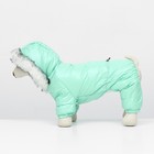 Комбинезон "Глянец", размер 2XL (ДС 44, ОГ 59, ОШ 44 см), мятный - Фото 5