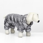 Комбинезон "Блеск", размер XS (ДС 19 см, ОГ 28, ОШ 19 см, до 3 кг), серебряный - Фото 2