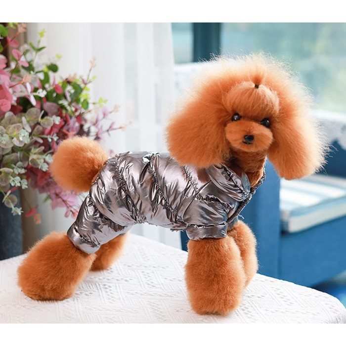 Комбинезон "Блеск", размер XS (ДС 19 см, ОГ 28, ОШ 19 см, до 3 кг), серебряный - Фото 1