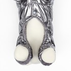 Комбинезон "Блеск", размер XS (ДС 19 см, ОГ 28, ОШ 19 см, до 3 кг), серебряный - Фото 7