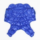 Комбинезон "Блеск", размер XS (ДС 19 см, ОГ 28, ОШ 19 см, до 3 кг), синий - фото 7506530