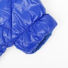 Комбинезон "Блеск", размер XS (ДС 19 см, ОГ 28, ОШ 19 см, до 3 кг), синий - Фото 10