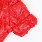Комбинезон "Блеск", размер XS (ДС 19 см, ОГ 28, ОШ 19 см, до 3 кг), красный - Фото 10