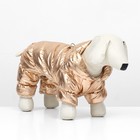 Комбинезон «Блеск», размер S (ДС 24 см, ОГ 34, ОШ 23 см, до 5 кг), золотой - Фото 2