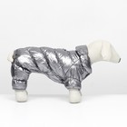 Комбинезон «Блеск», размер S (ДС 24 см, ОГ 34, ОШ 23 см, до 5 кг), серебряный - Фото 3